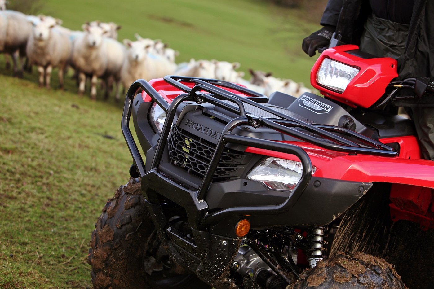 Summer Savings on Honda Quads